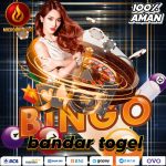 bandar togel