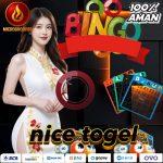 nice togel
