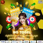 no togel